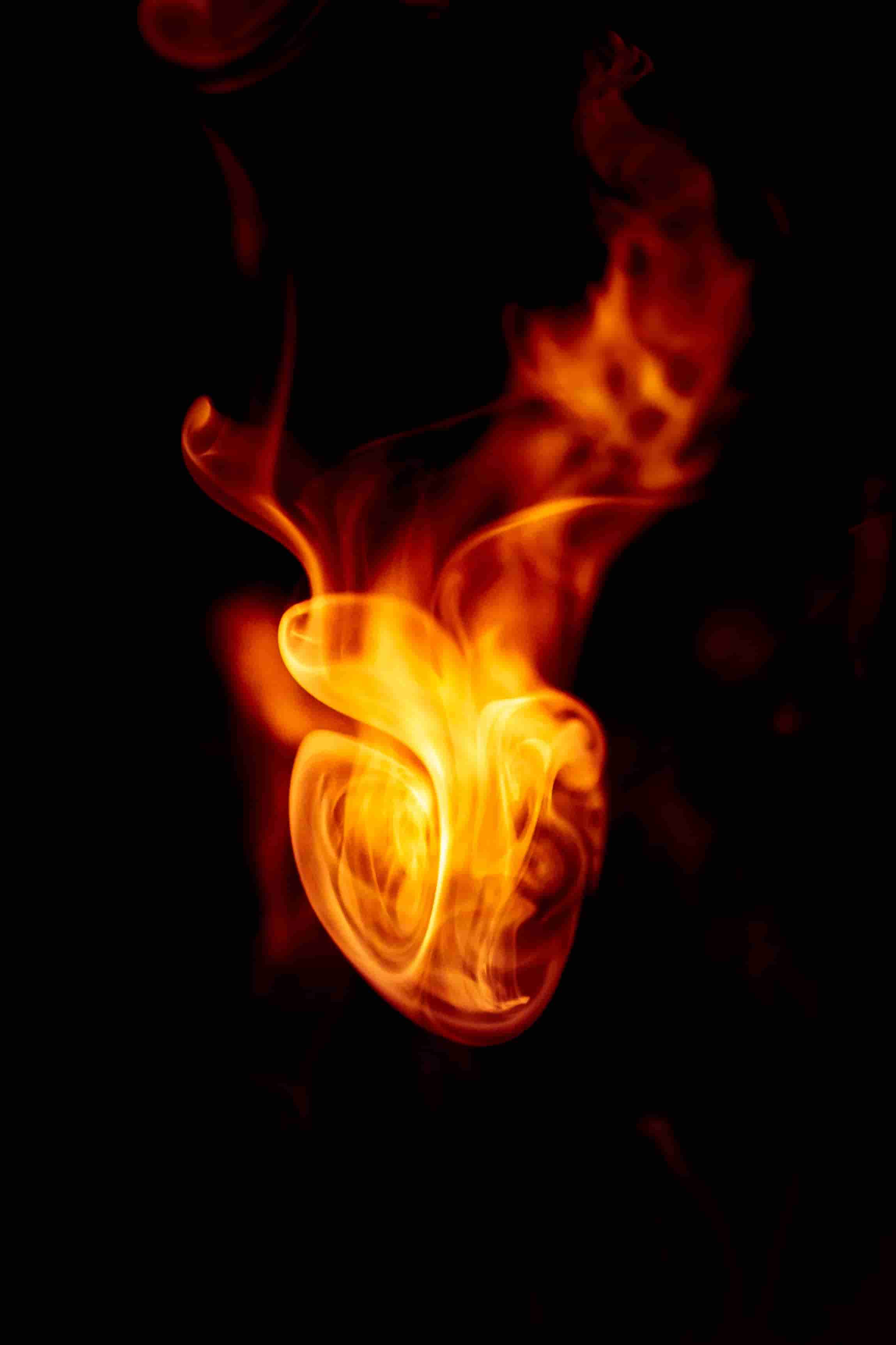 photo - ШУМАН ТА ГРІГ: КАМЕРНІ ТВОРИ