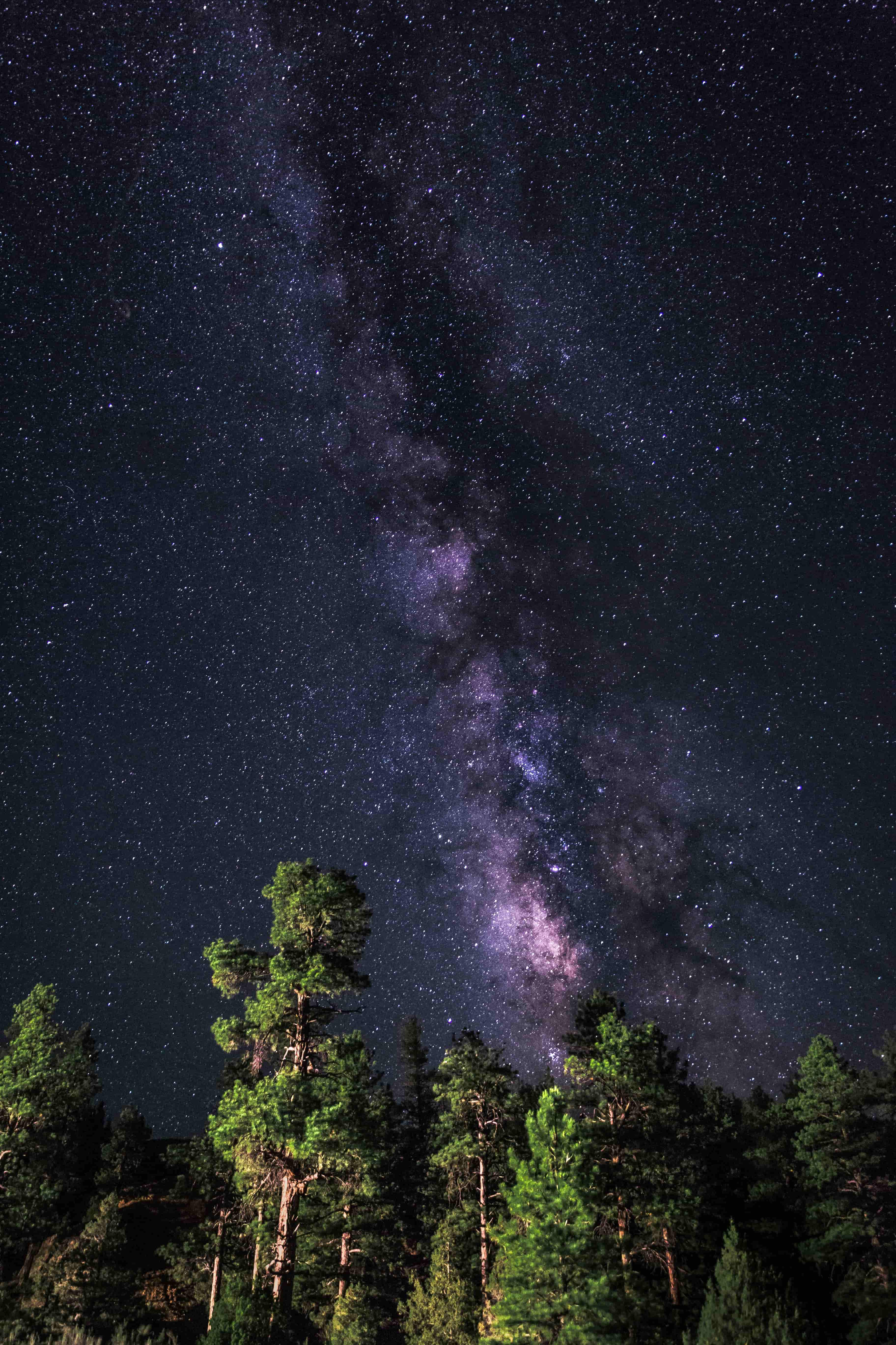 photo - ПРОСВІТЛЕНА НІЧ