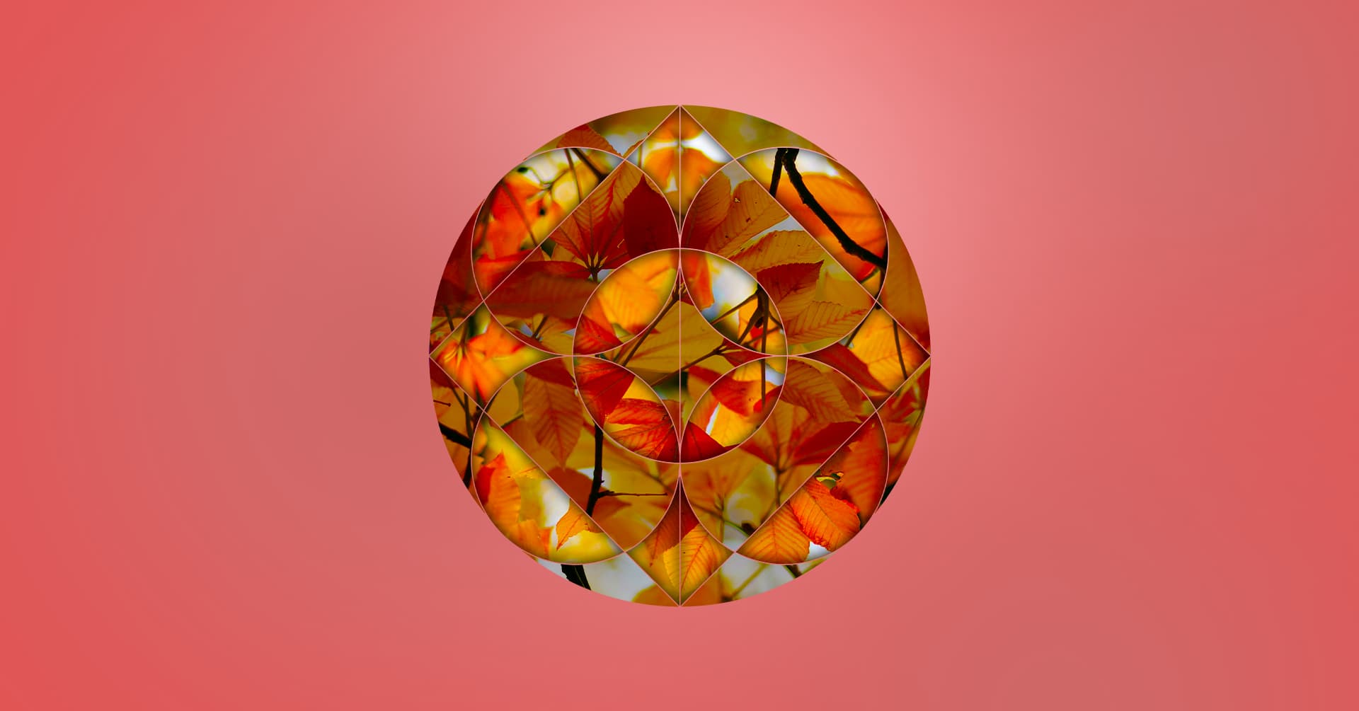 photo - Осіння романтика