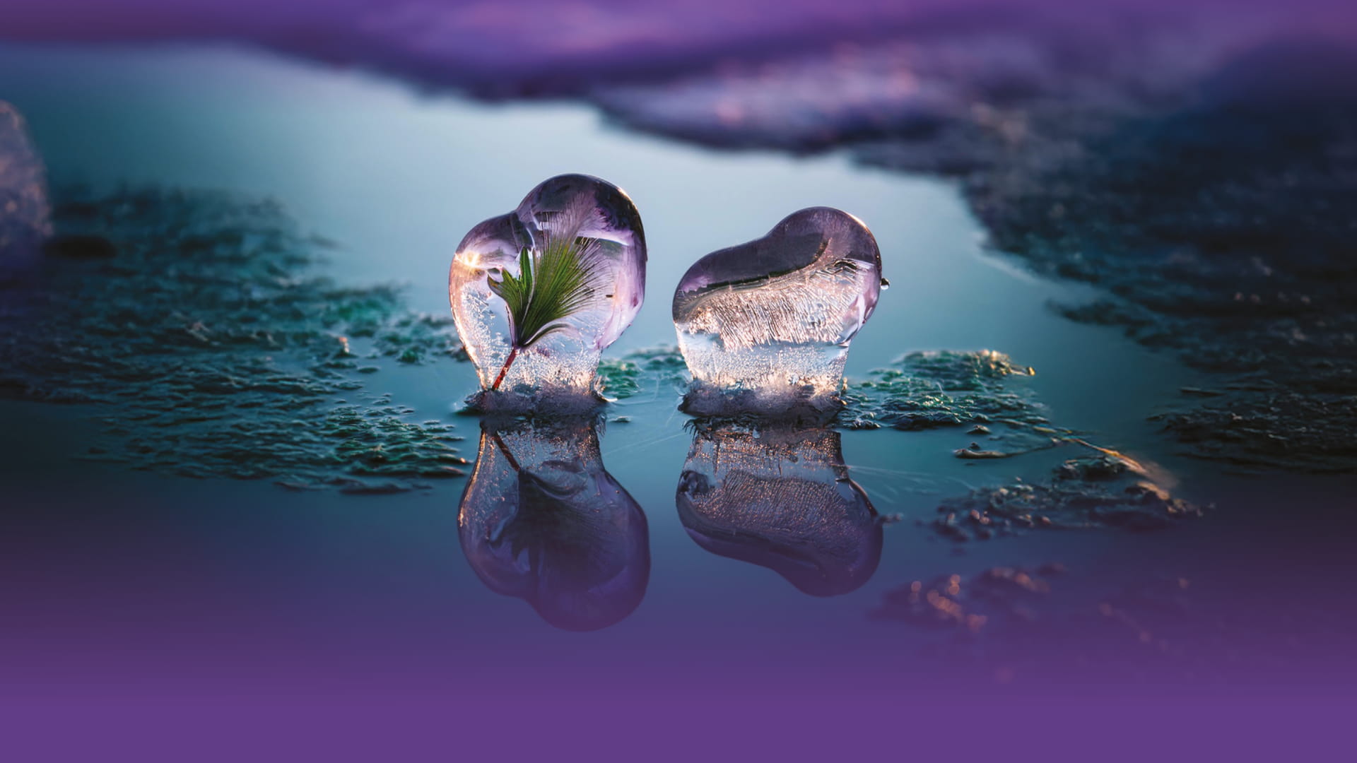 photo - NOTABENE+ КРАВЧЕНКО, ЗВАРИЧ