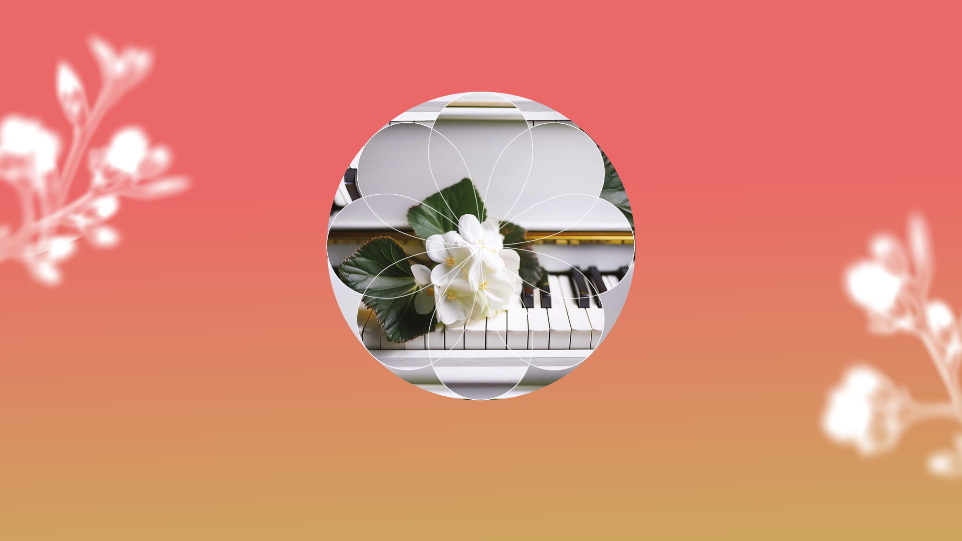 photo - Романс ніжності