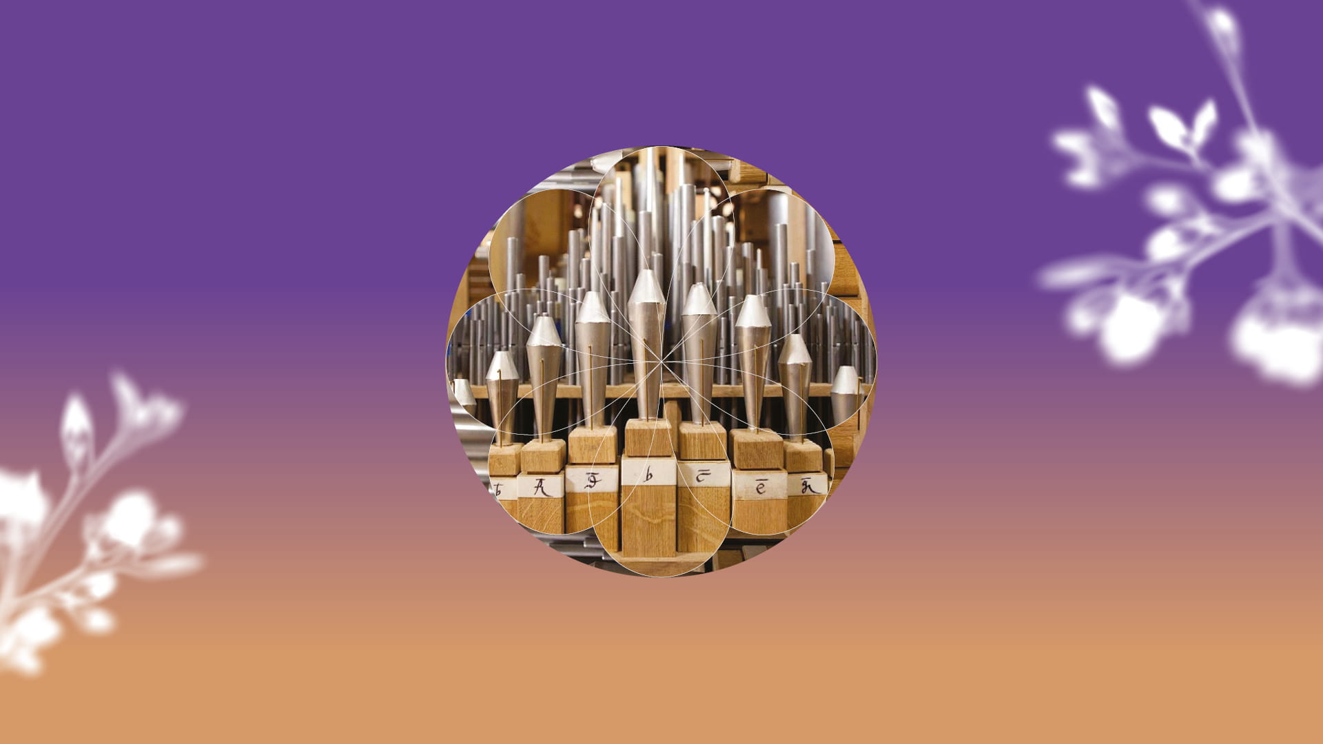 photo - Бах органний