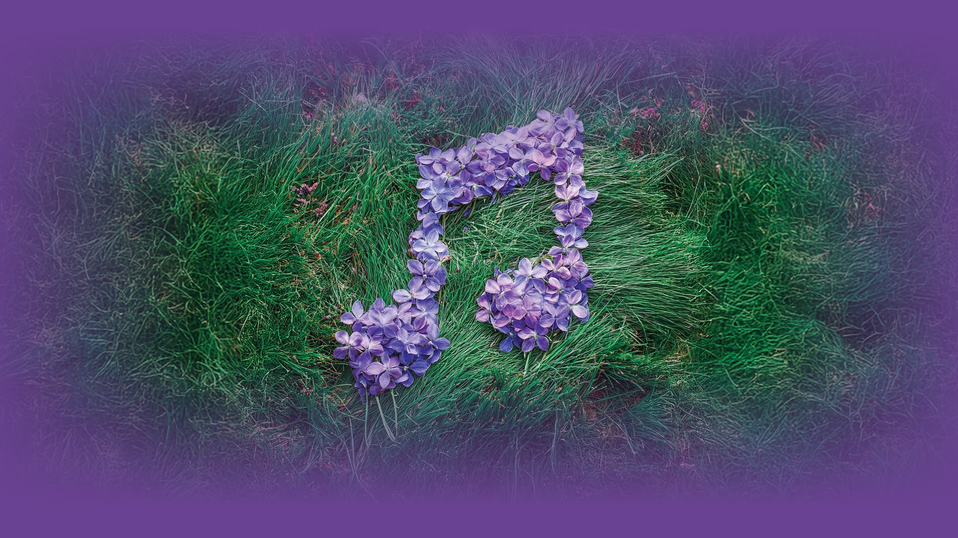 photo - Notabene+ Гончаренко, Іванов, Пікуш