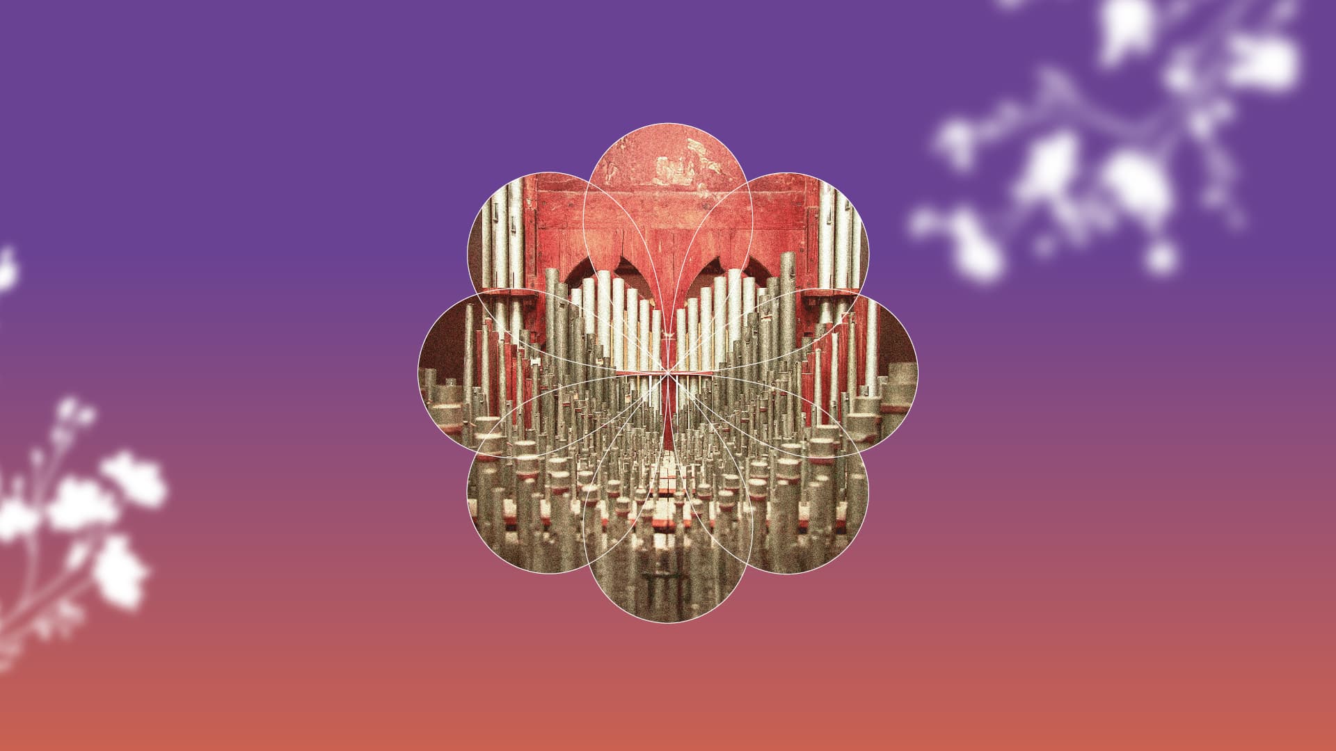 photo - Органна романтика