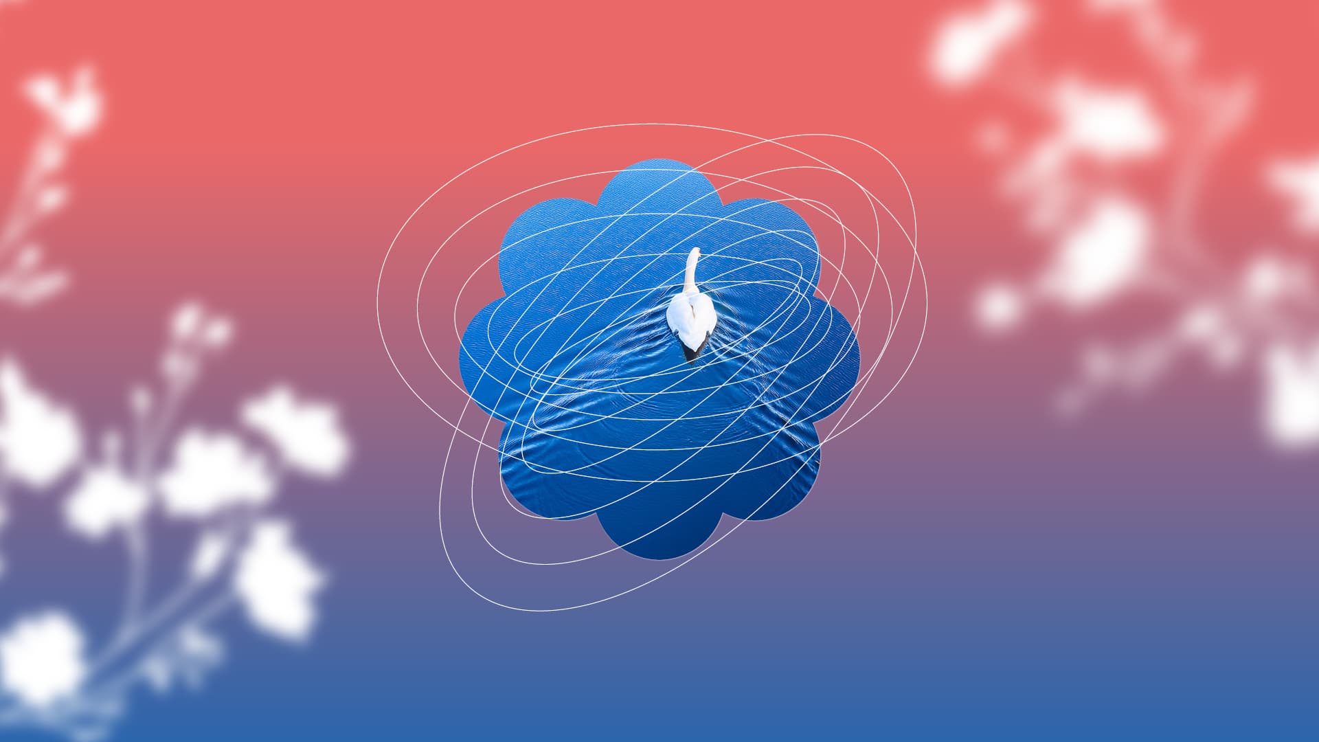 photo - Музика води