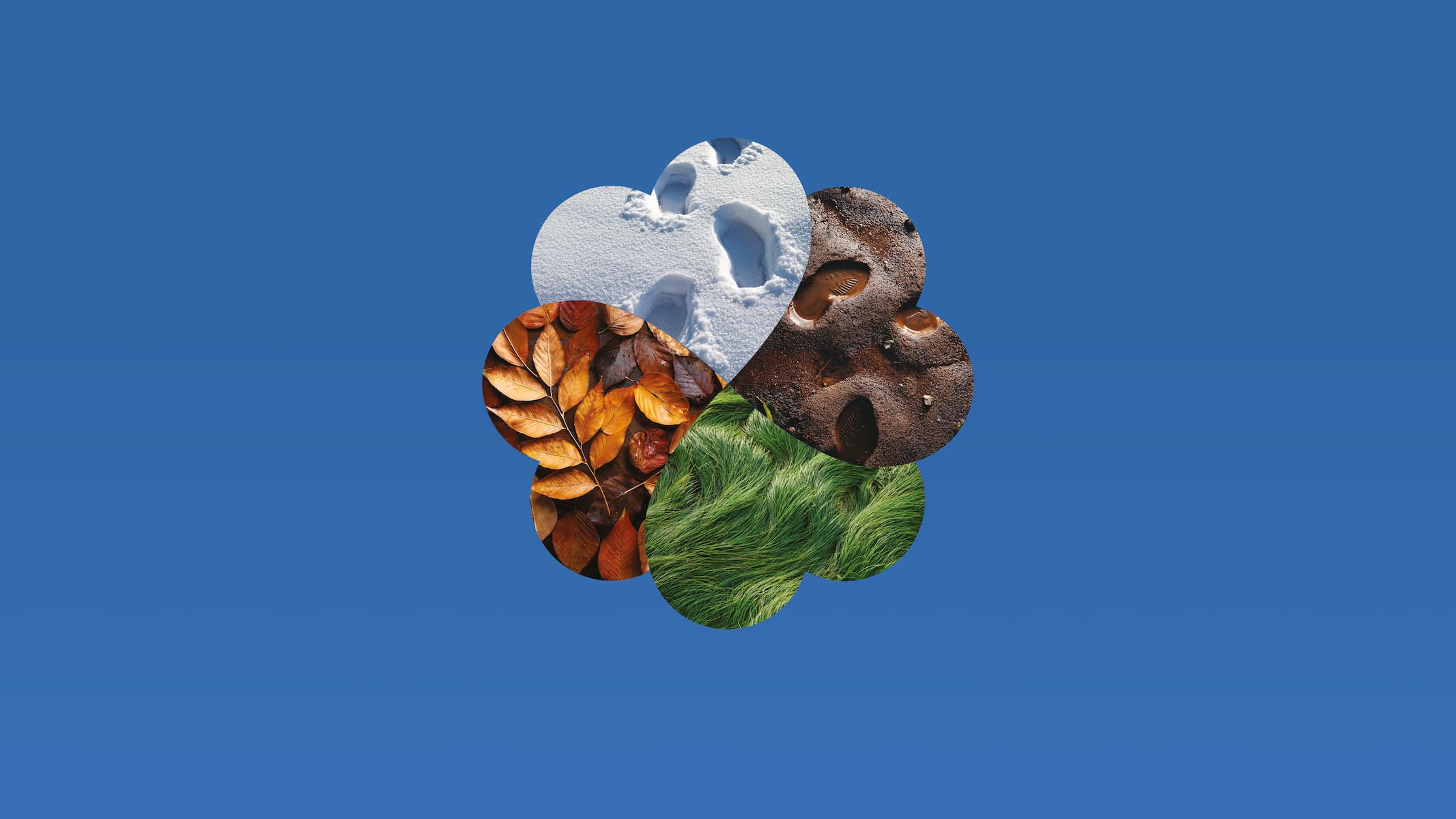 photo - Пори року