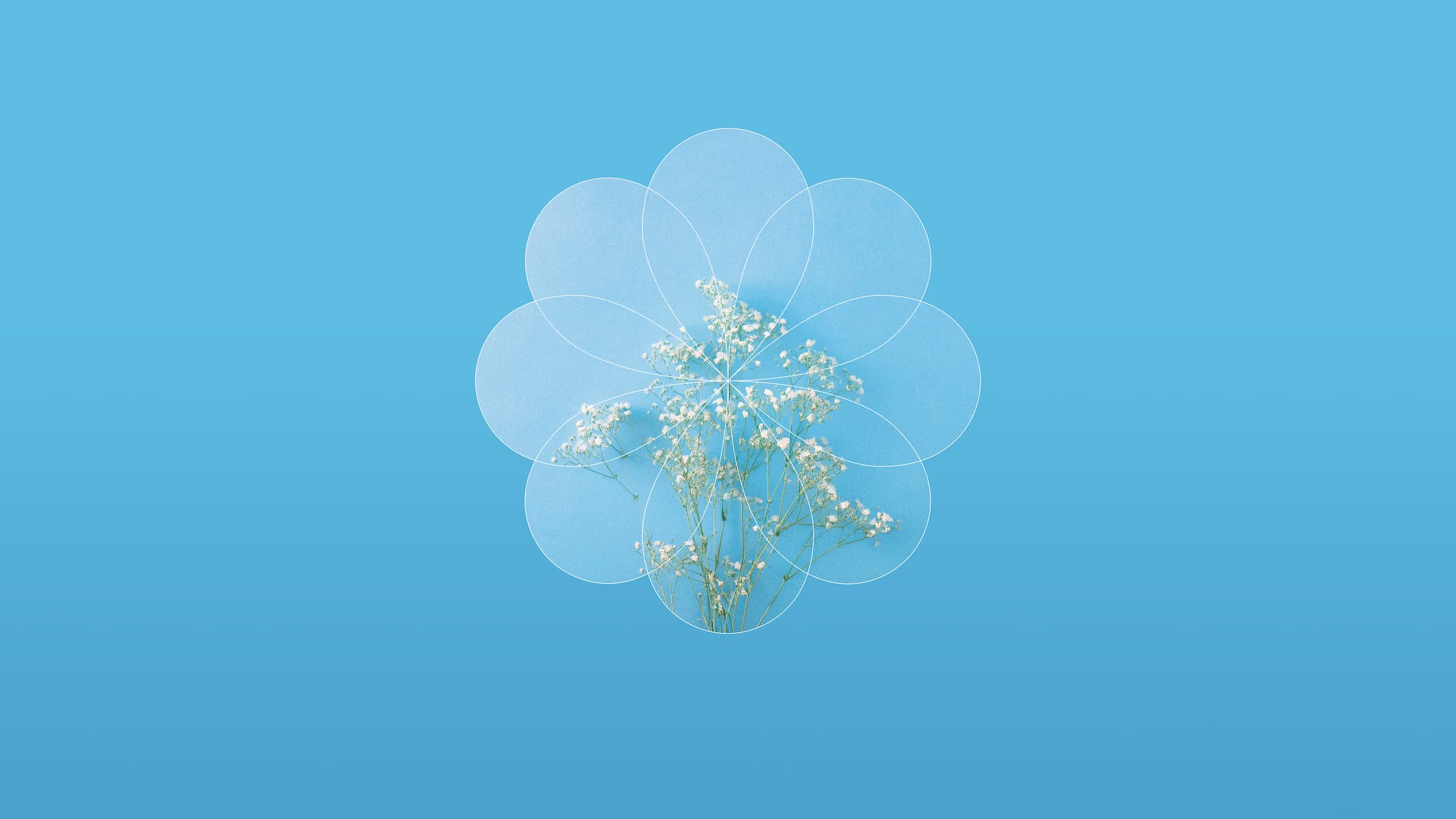 photo - Музика літа