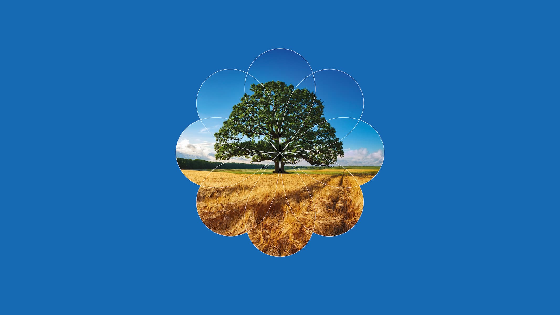 photo - Музика вільних