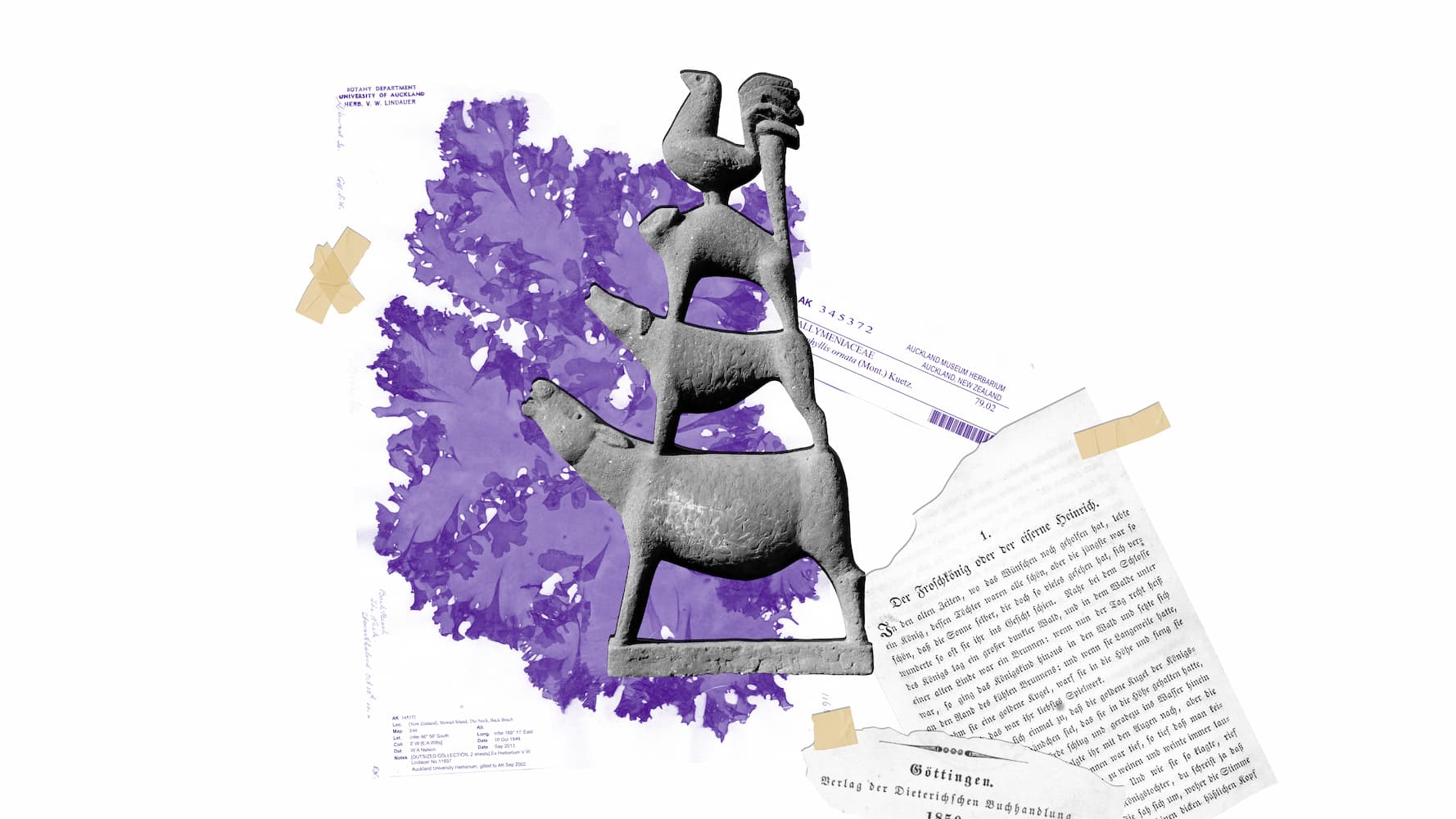 photo - NotaBene: Шуман, Іщенко, Дворжак