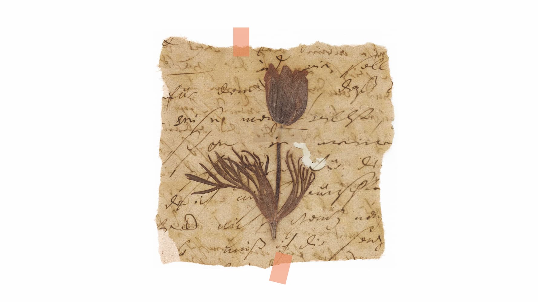 photo - Музика кохання