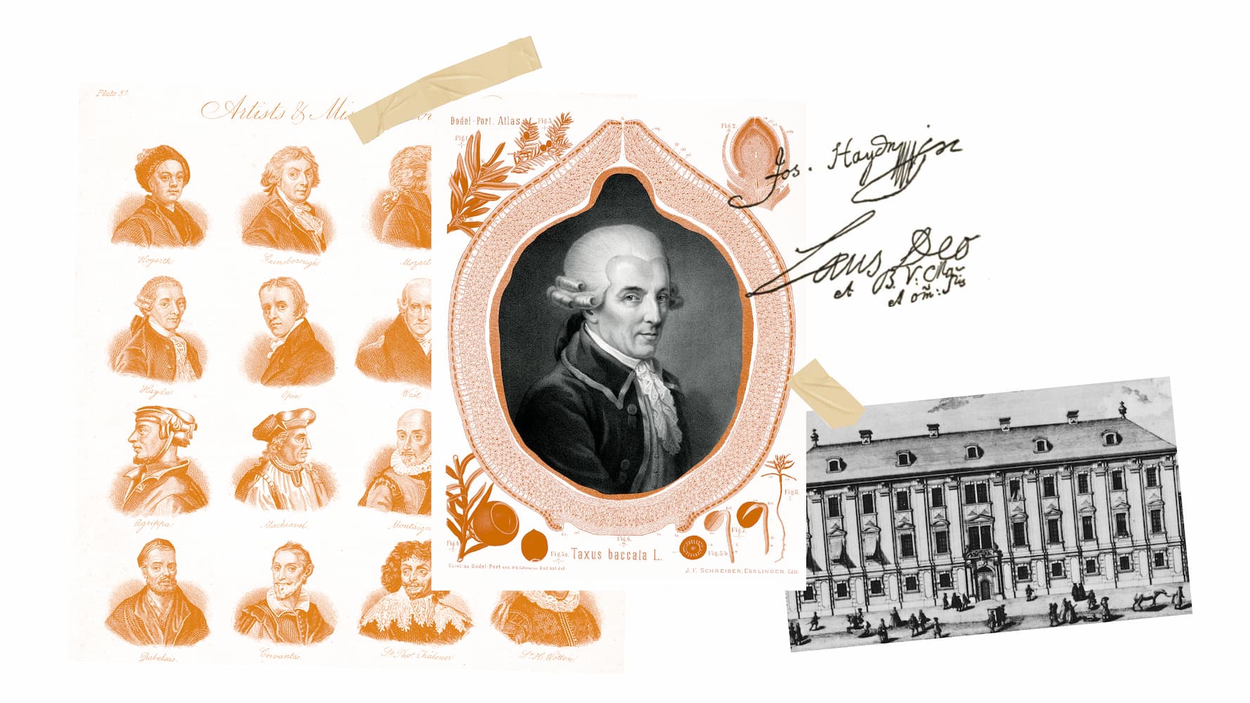 photo - Портрети: Йозеф Гайдн