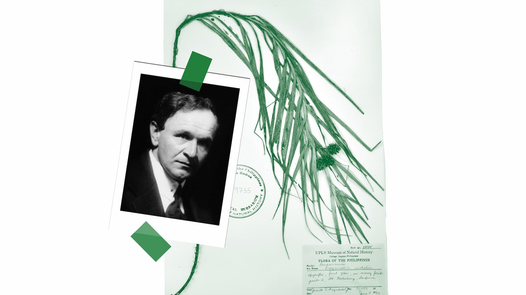 photo - Віктор Косенко: Тиха сповідь