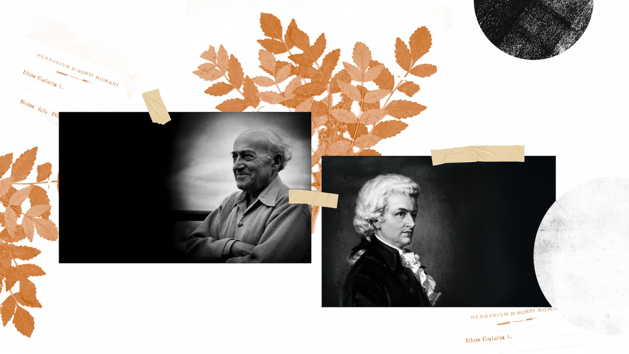 photo - Шлях до просвітлення