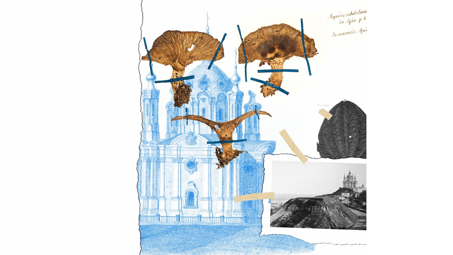 photo - Осінь в Андріївській