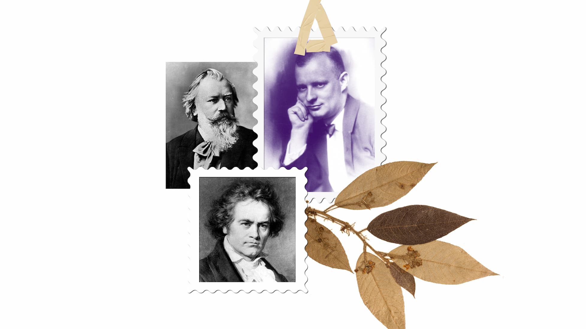 photo - Notabene: Бетховен, Брамс, Гіндеміт