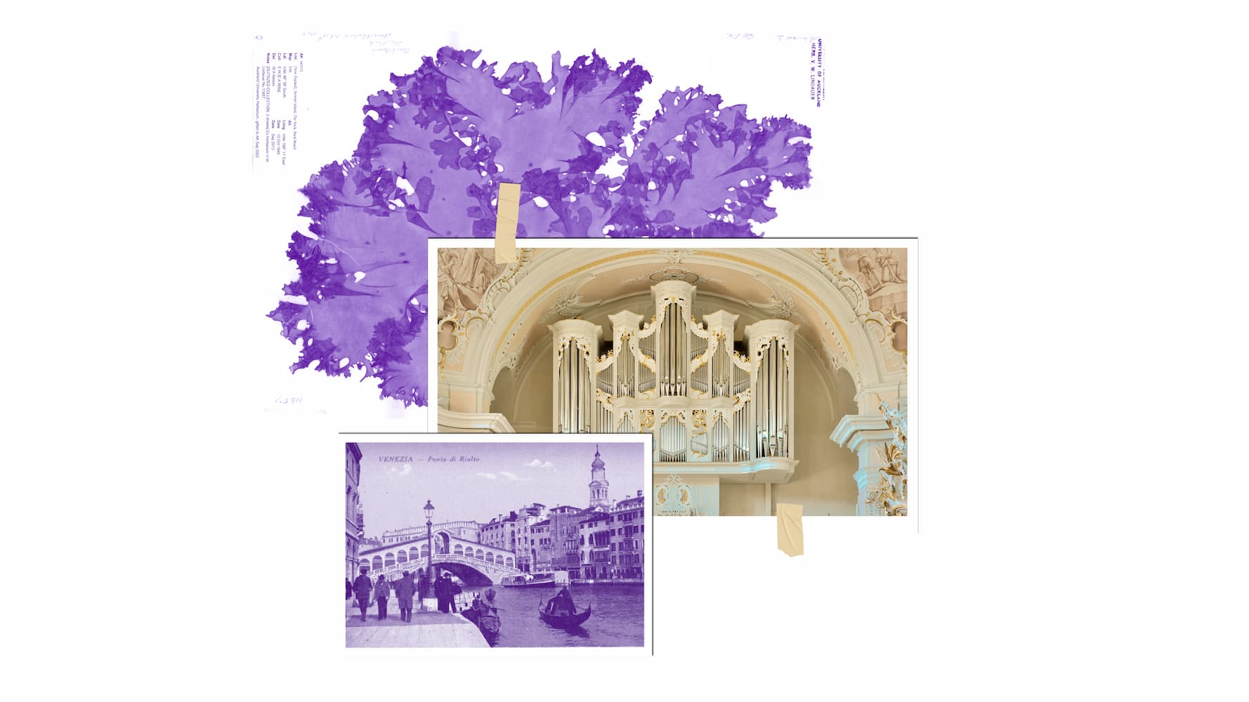 photo - Італія Органна