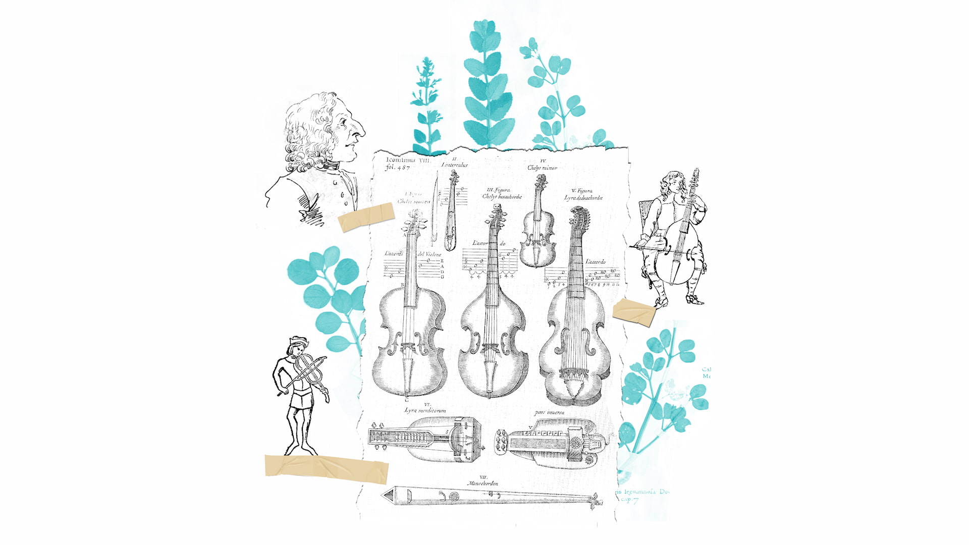 photo - Vivaldi. The Four Seasons