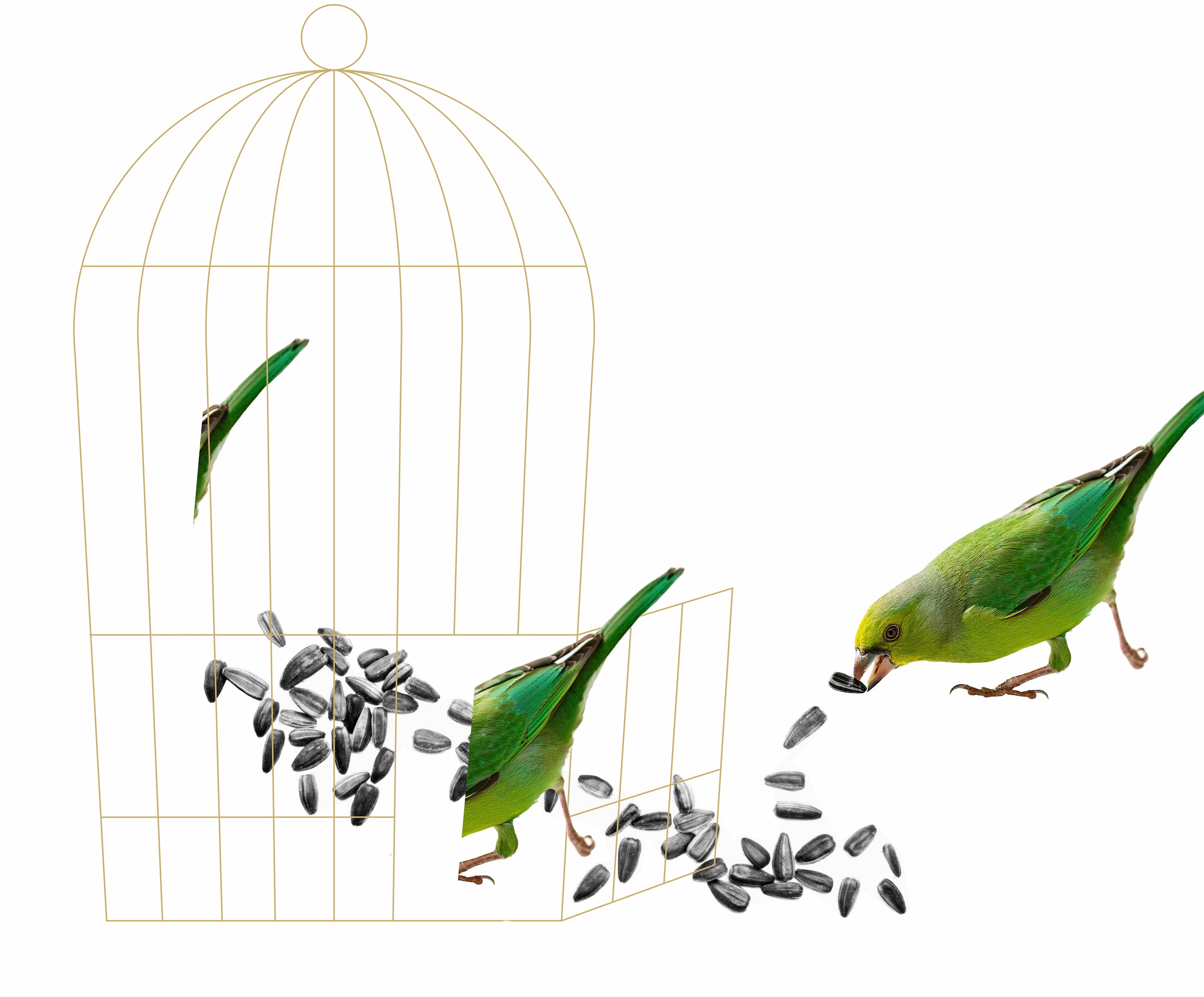 photo - NotaBene: Bach, Kurtág, Shmurak