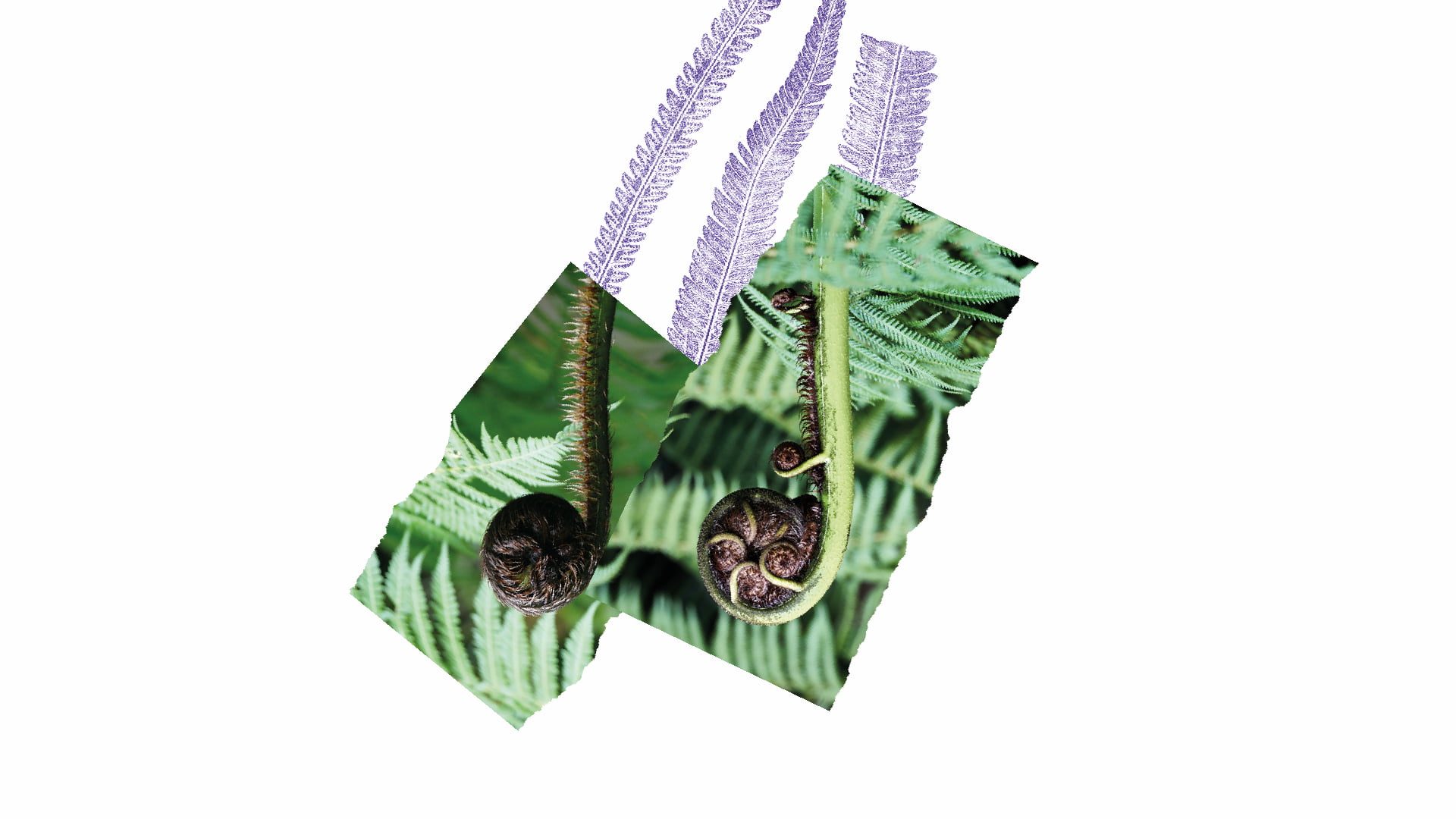 photo - NOTABENE+ | Season II