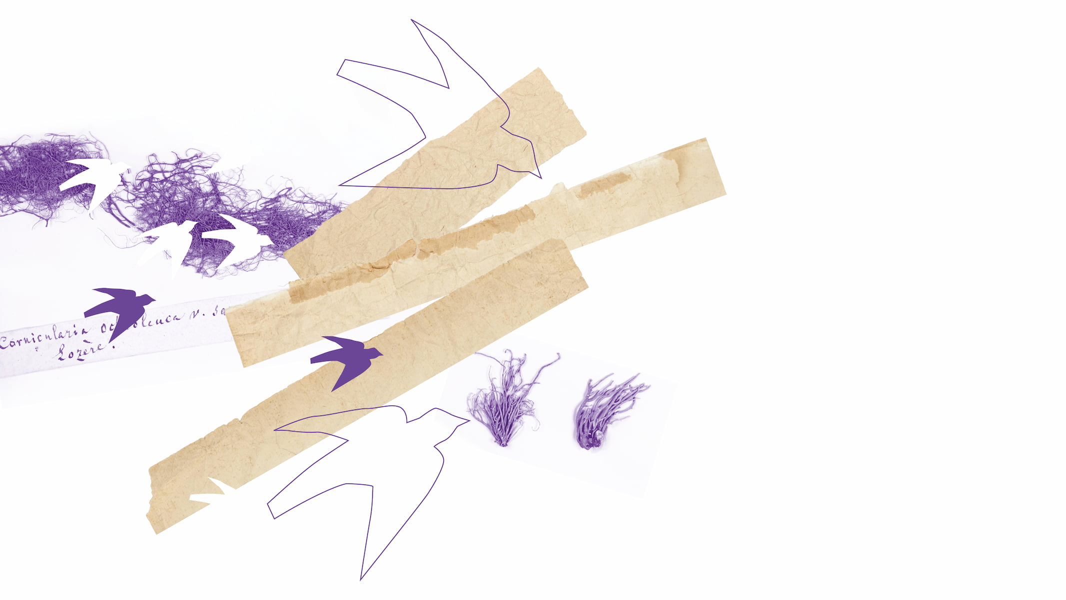 photo - Horizons. New Generation