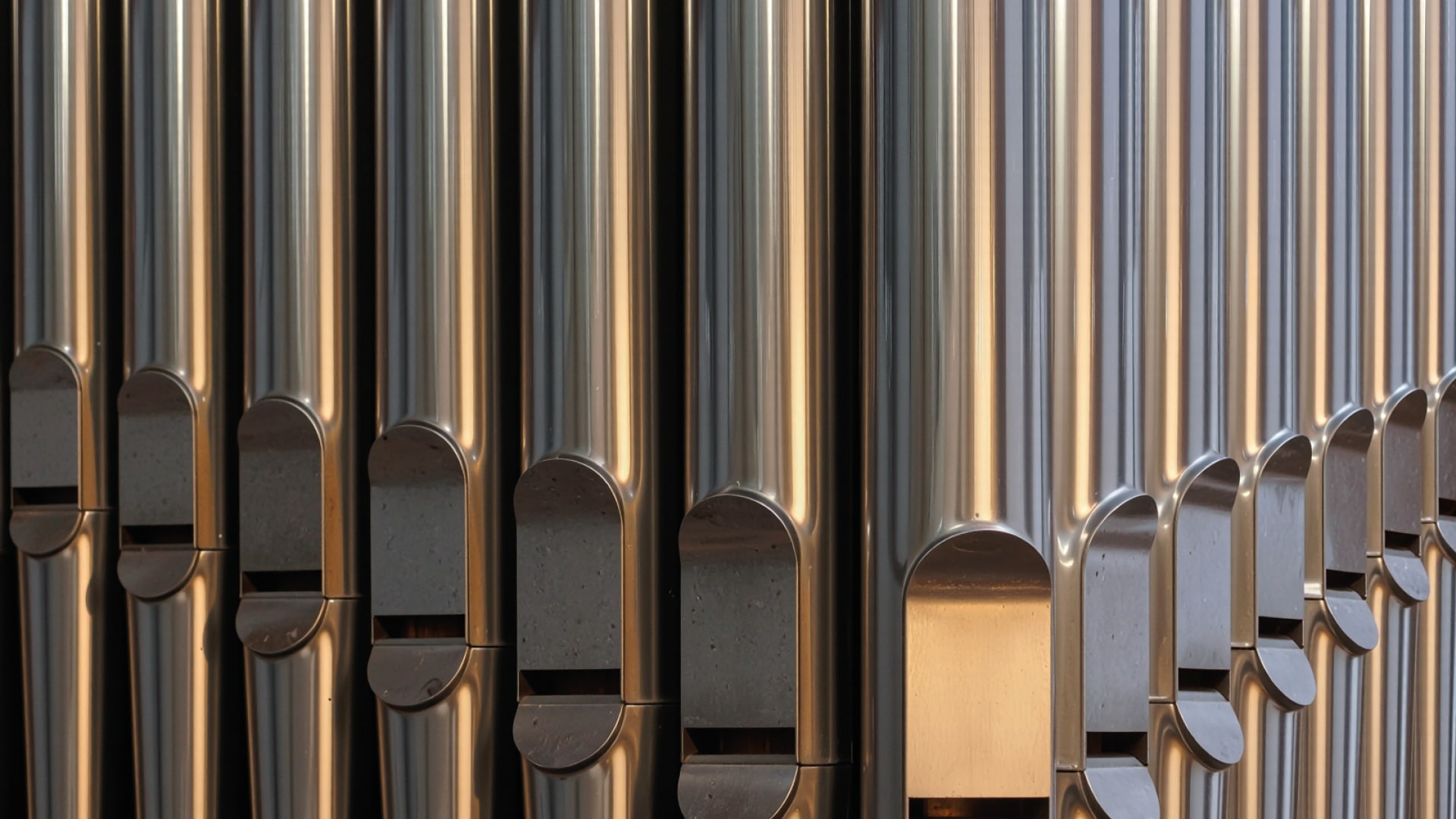 photo - Johann Sebastian Bach. Organ Music